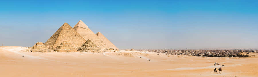 The Pyramids Of Giza Group Of Camel Tours Wallpaper