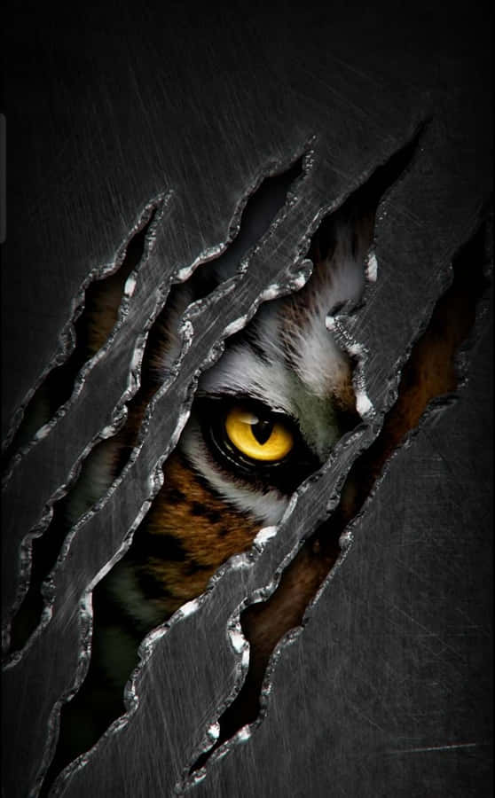 Tiger Face Wallpaper - Screenshot Wallpaper