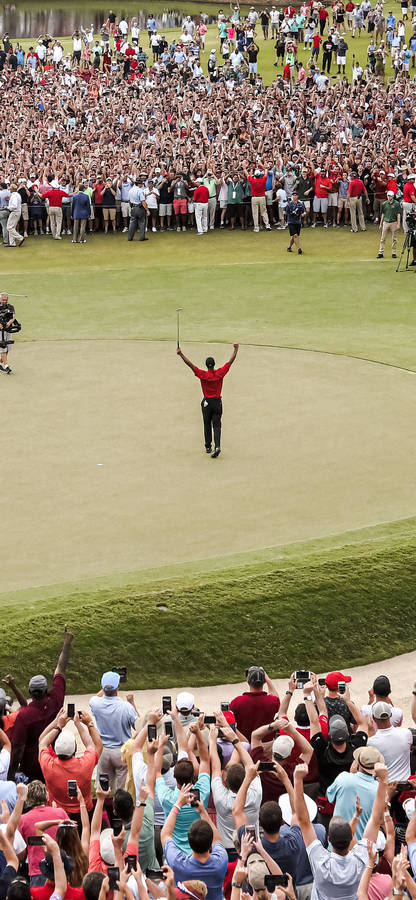 Tiger Woods On The Green Sports Iphone Wallpaper