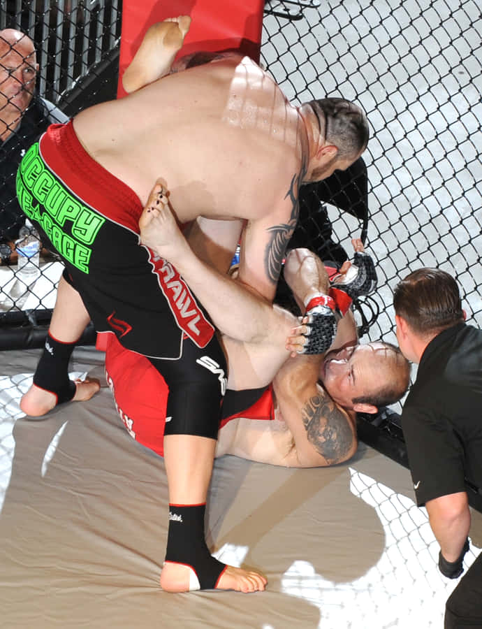 Tim Sylvia Former Champion Wallpaper