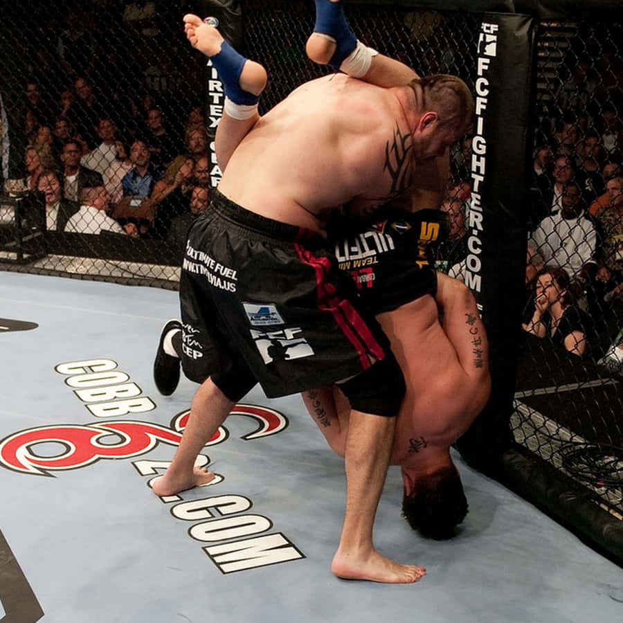 Tim Sylvia Frank Mir Heavyweight Wallpaper