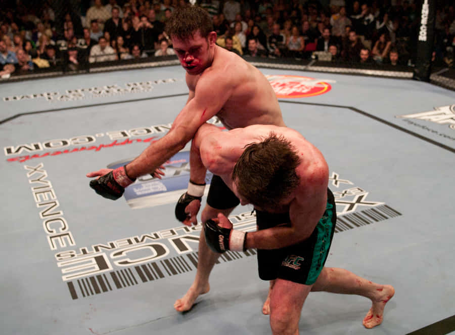 Tim Sylvia Ultimate Fighting Championship Wallpaper