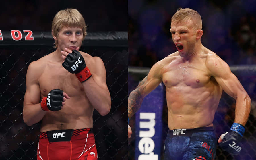 Tj Dillashaw And Paddy Pimblett Wallpaper