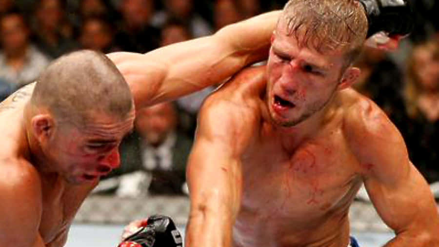 Tj Dillashaw Bloody Face Ufc Wallpaper