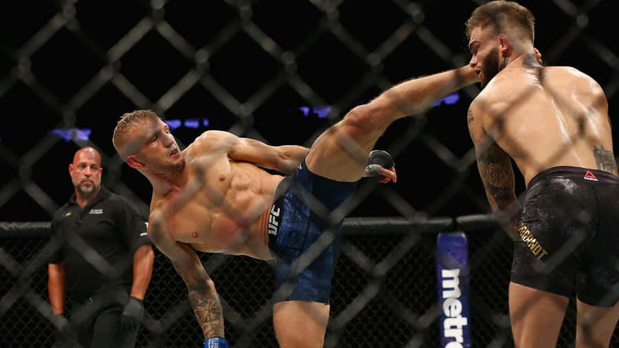 Tj Dillashaw Landing A High Kick Wallpaper