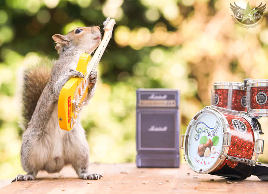 Tom And Jerry Share A Laugh In Their Classic Cartoon Capers Wallpaper