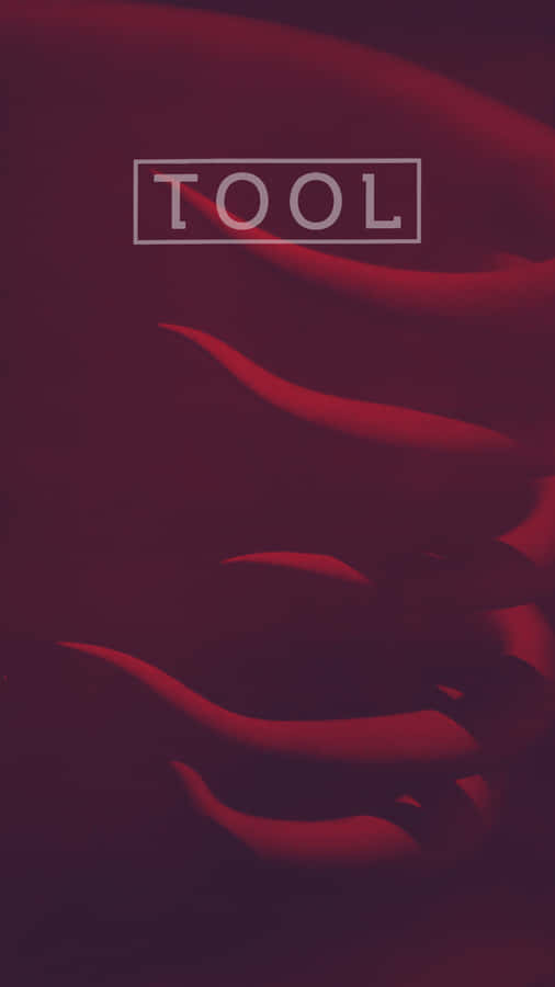 Tool - A Red Cover With The Words Tool Wallpaper
