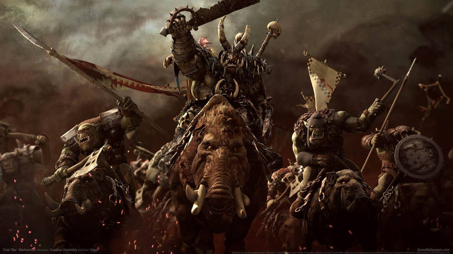 Total War Warhammer Orcs Prepare For War Wallpaper