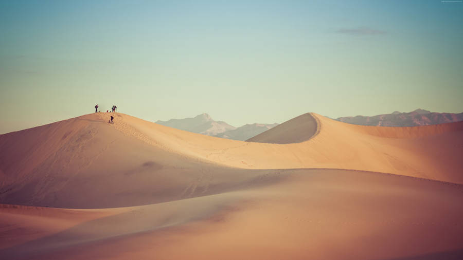 Tourist On Desert Wallpaper
