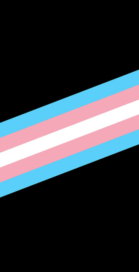 Transgender Thick Diagonal Lines Wallpaper