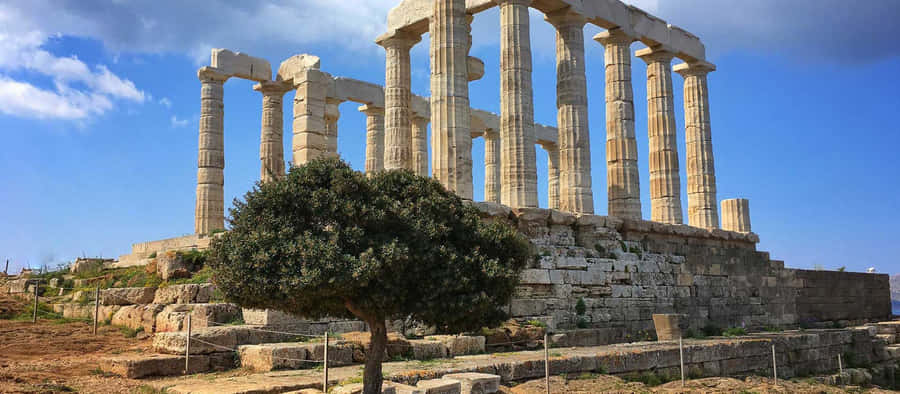 Tree Growing Outside Temple Sounion Wallpaper