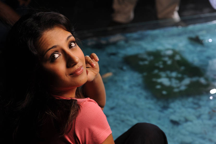 Trisha Smiling Vinnaithandi Varuvaya Hd Wallpaper