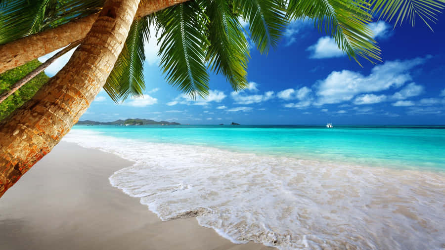 Tropical_ Beach_ Paradise Wallpaper