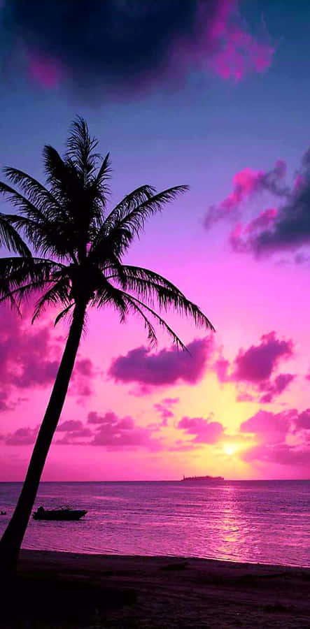 Tropical Sunset Violet Light Over The Beach Wallpaper