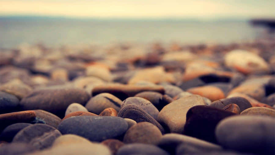 Tumblr Macro Photography Sea Pebbles Wallpaper