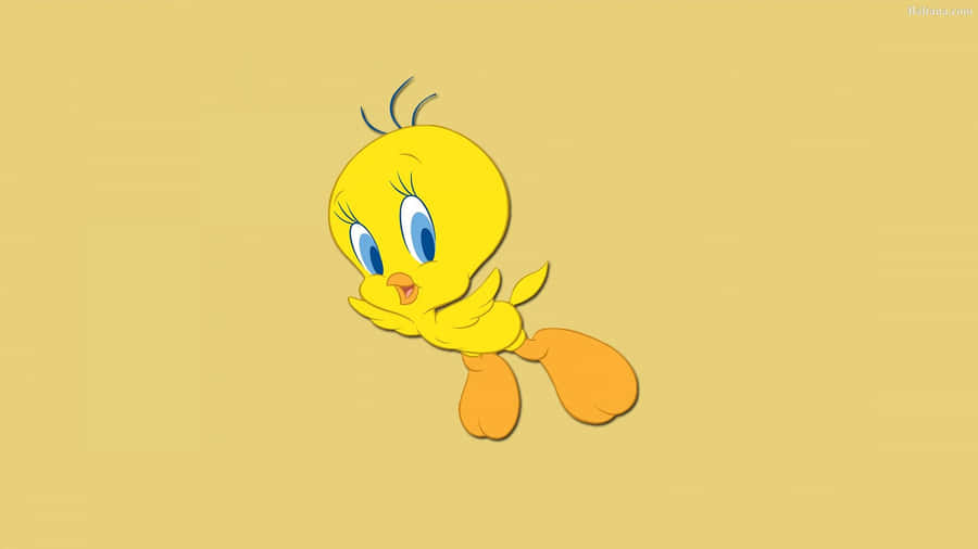 Tweety Bird 1920 X 1080 Wallpaper