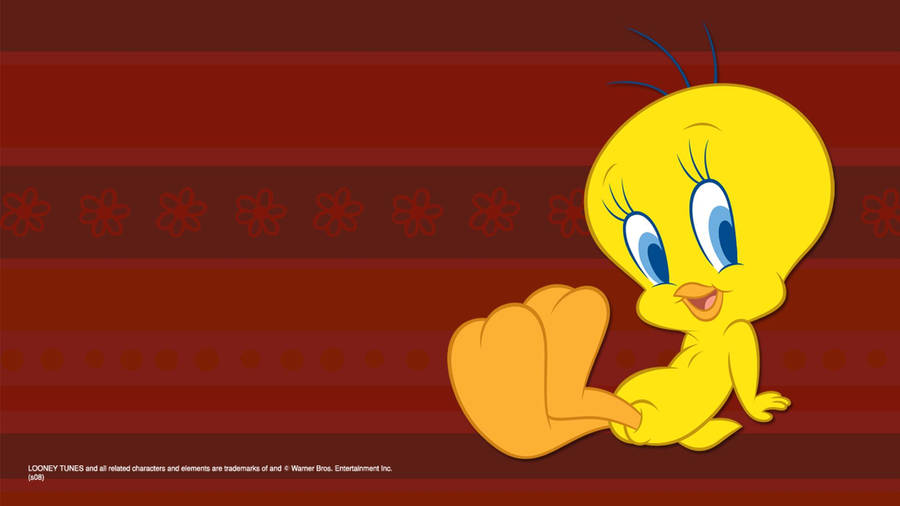 Tweety Bird Sitting Wallpaper