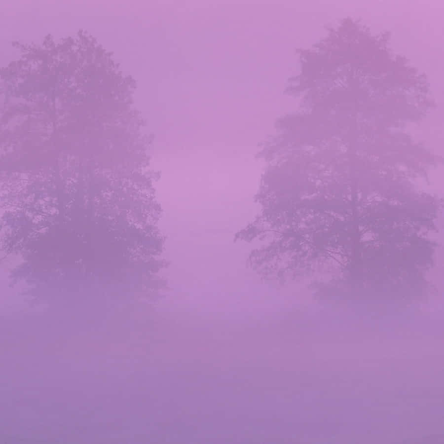 Two Trees In The Fog With Purple Sky Wallpaper