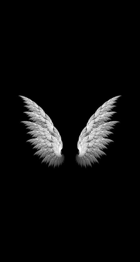 Two White Angel Wings On A Black Background Wallpaper