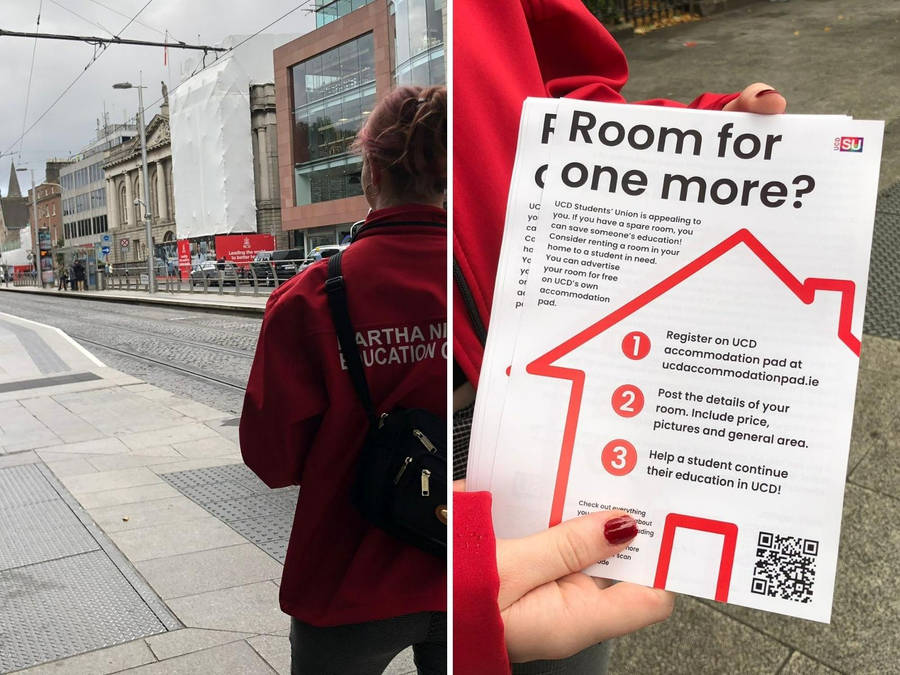 Ucd Accommodation Pad Wallpaper