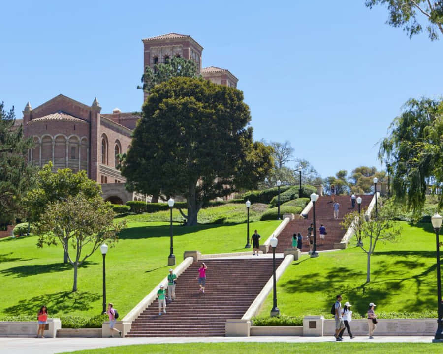 Ucla Campus, Los Angeles Wallpaper