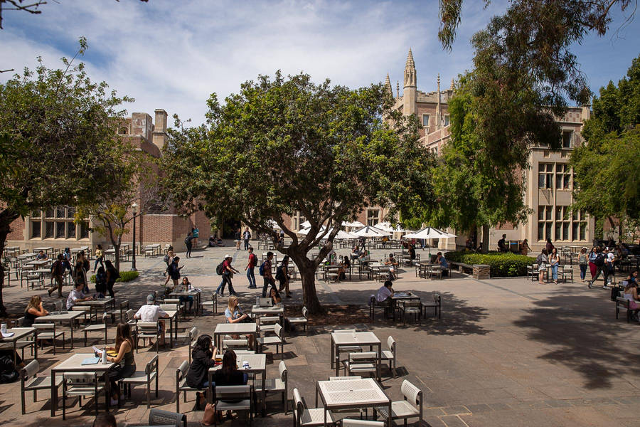 Ucla Kerckhoff Coffee House Wallpaper