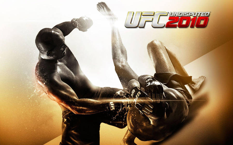 Ufc 2010 Action Poster 4k Wallpaper