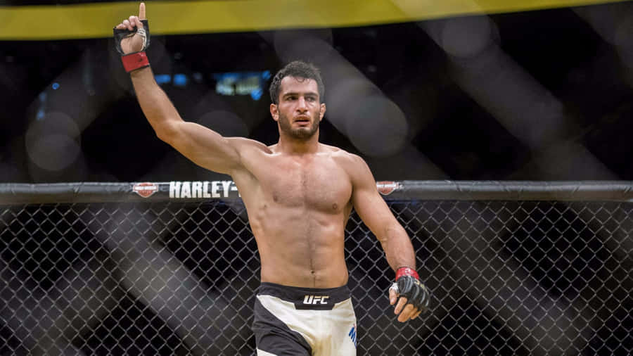 Ufc 99 Gegard Mousasi On Octagon Ring Wallpaper