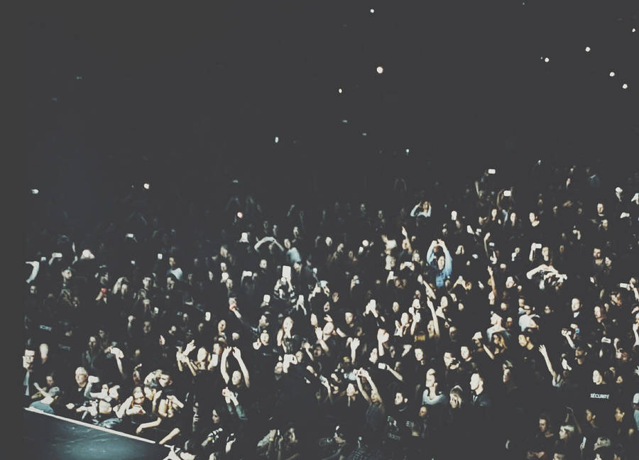 Ultrawide Fans Wallpaper