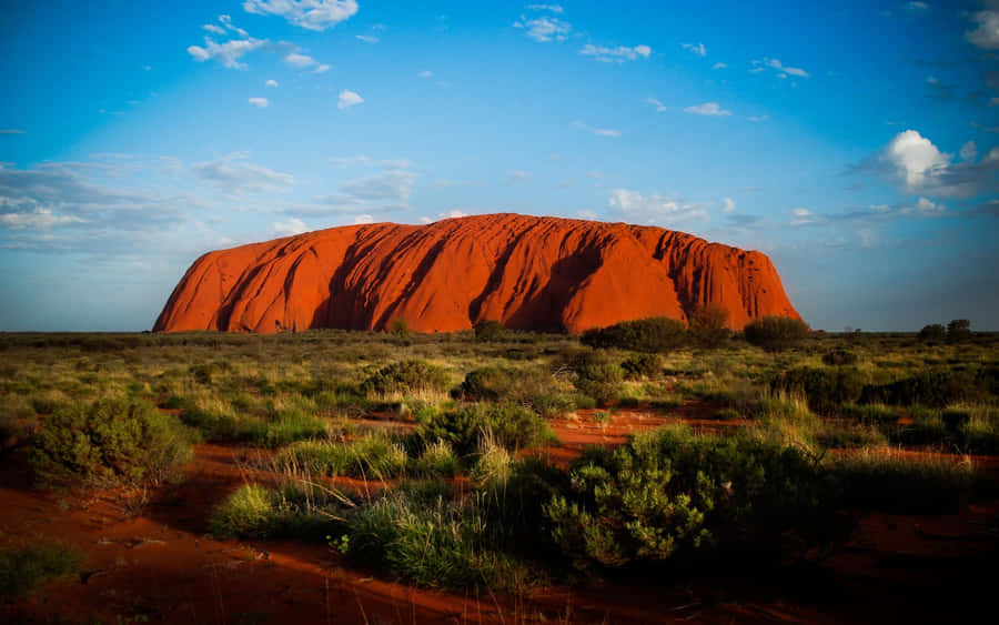 Uluru Sandstone Shrubs Wallpaper