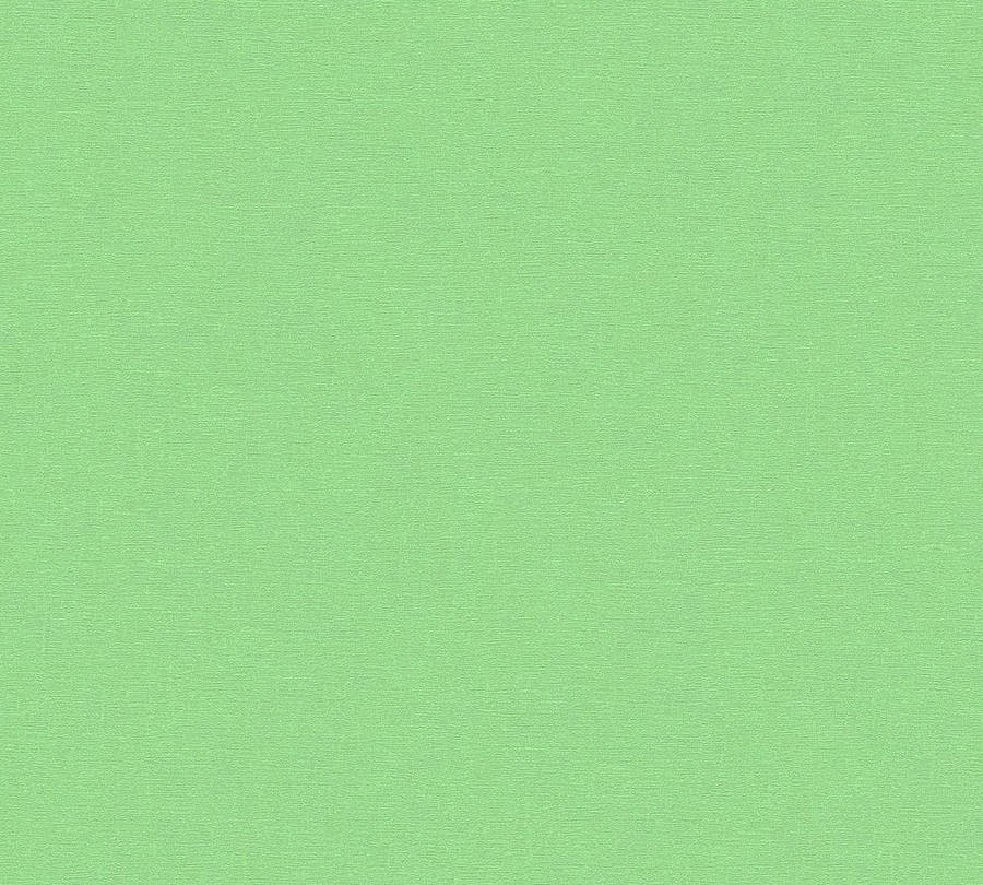Undecorated Light Green Plain Wallpaper