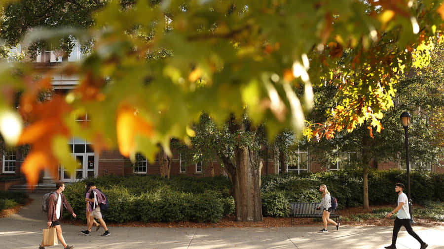 University Of Georgia During Autumn Wallpaper