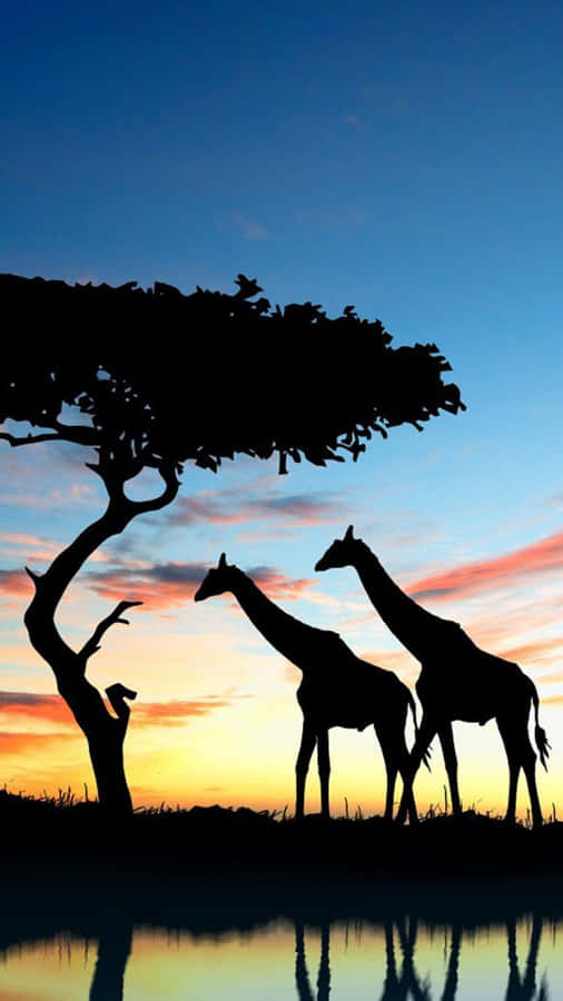 Unlock A World Of Possibilities With The African Iphone Wallpaper