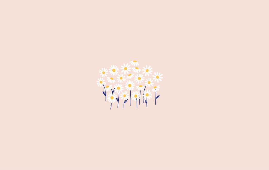 Unlock Your Creativity With Daisy Aesthetic Computer Wallpaper