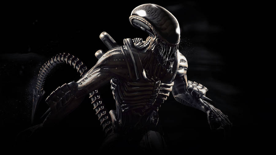 Unwavering Terror: Killer Alien Is Here Wallpaper