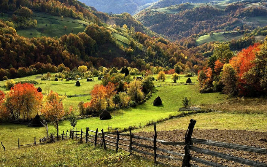 Unwind In The Serene Autumnal Haven, Zlatibor Serbia Wallpaper