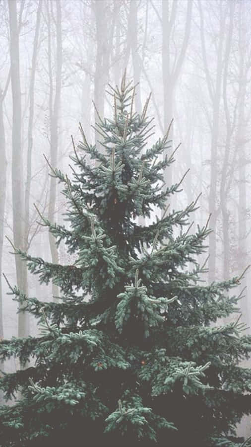 Unwrap The Gift Of Joy This Holiday Season! Wallpaper