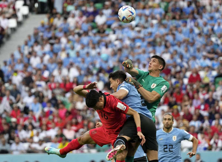 Uruguay National Football Team Vs. Korea Wallpaper