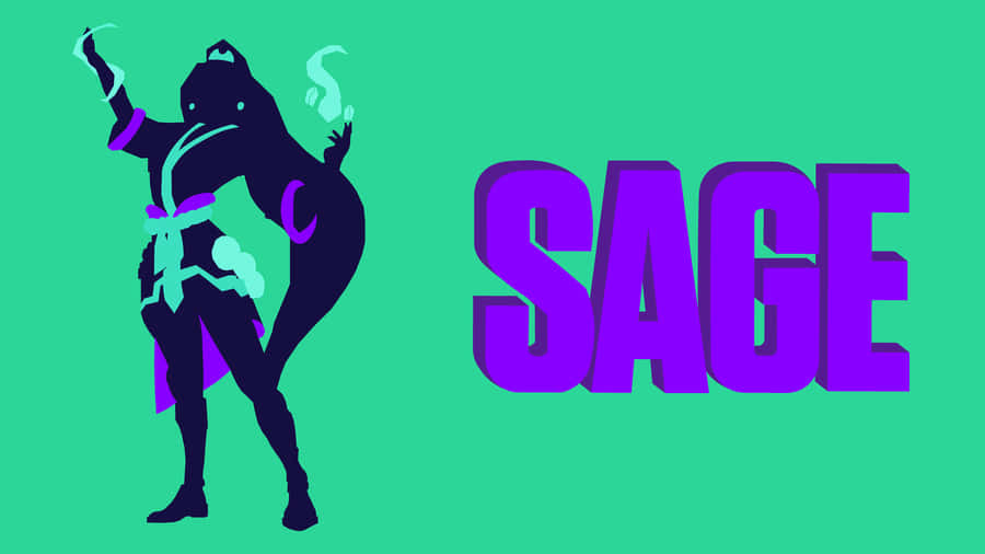 Valorant's Sage Battles On The Frontlines Wallpaper