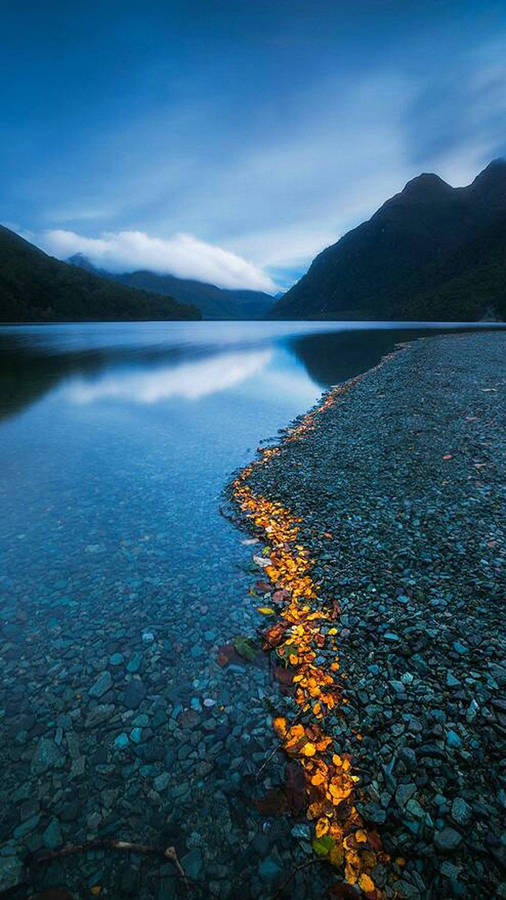 Vertical Landscape And Stones Wallpaper
