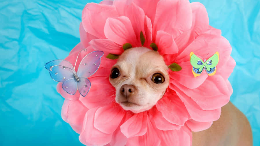 Vibrant City Skyline At Sunset Wallpaper