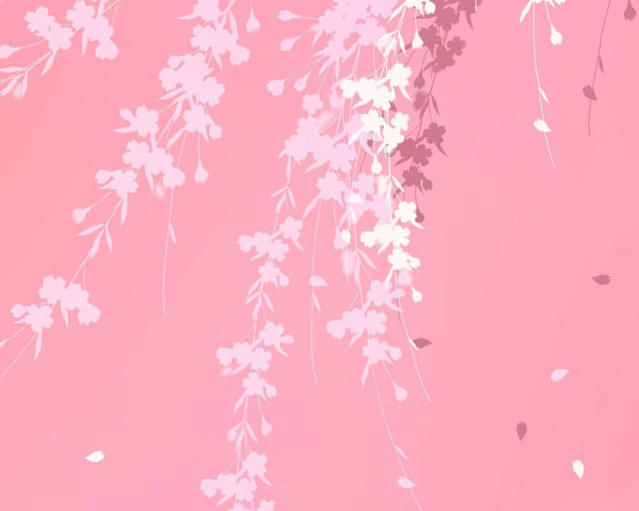 Vibrant Plain Pink Desktop Wallpaper