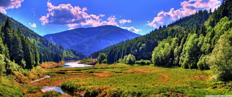 Vibrant Purple Nebula In Space Overlooking Earth Wallpaper
