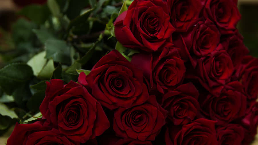 Vibrant_ Red_ Roses_ Bouquet_4 K Wallpaper
