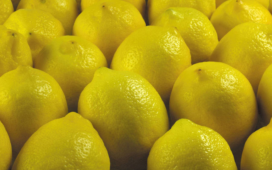 Vibrant Yellow Citrus Lemons Wallpaper