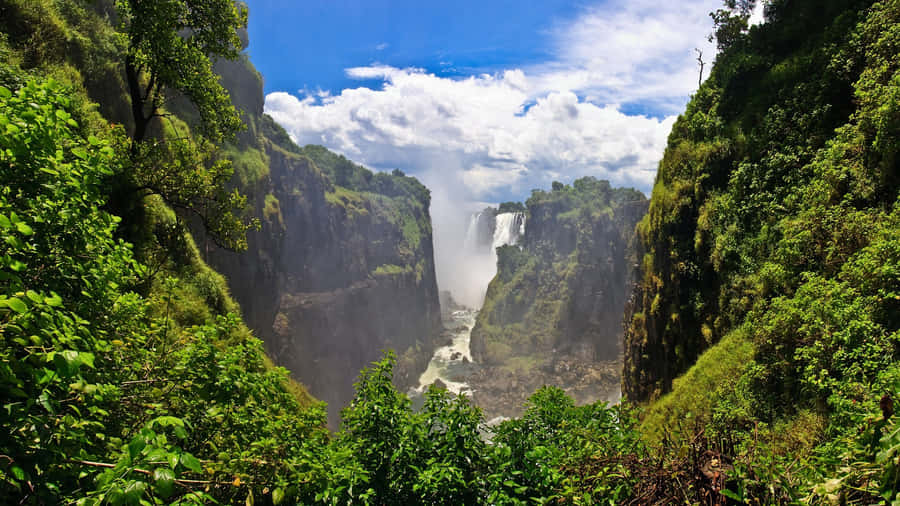 Victoria Falls Valley And Jungle Wallpaper