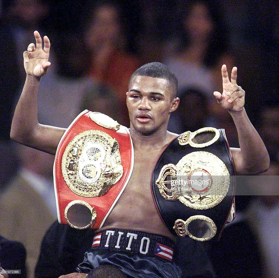 Victory Of Felix Trinidad Wallpaper