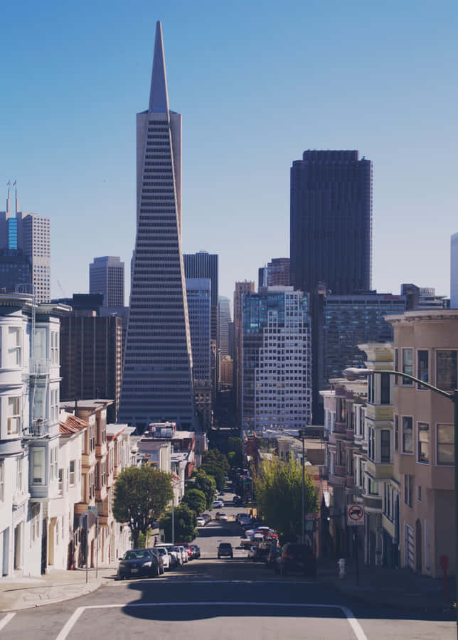 View Of The Transamerica Pyramid Wallpaper