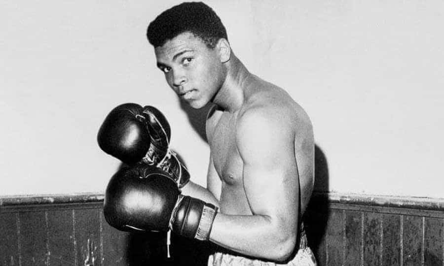 Vintage Boxer Portrait Wallpaper