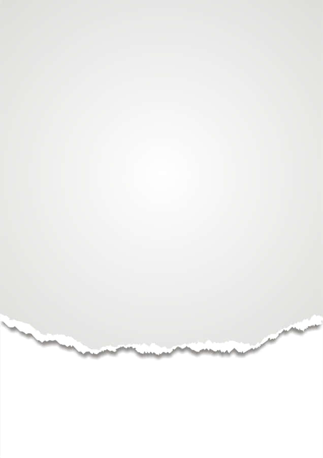 Vivid Torn Paper Vector Illustration Wallpaper
